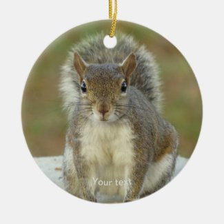Personalize Cute Squirrel face to face photography