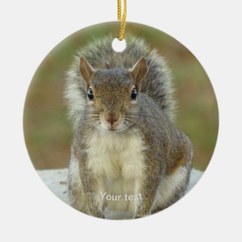 Personalize Cute Squirrel face to face photography Ceramic Ornament