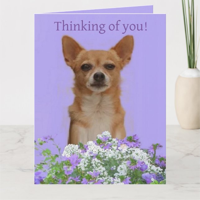 Personalize Doggie large "Thinking of you" Card (Front)