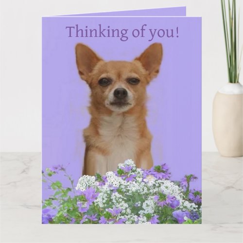 Personalize Doggie large Thinking of you Card