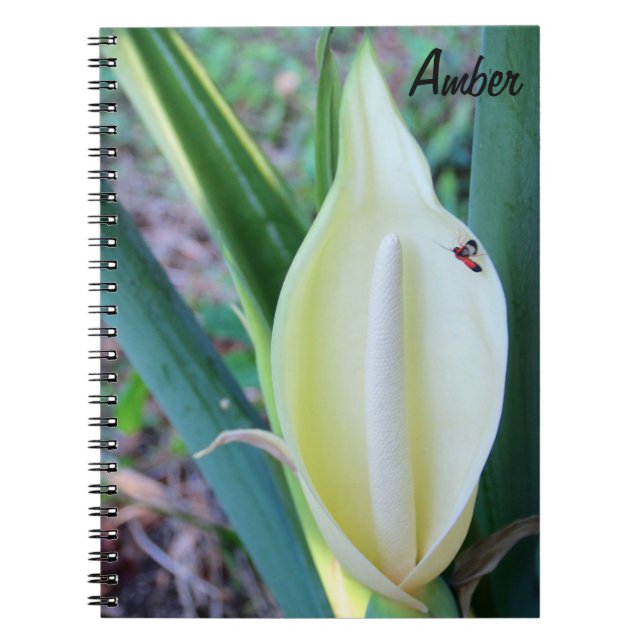Personalize Elephant Ear Bloom Photo Notebook (Front)