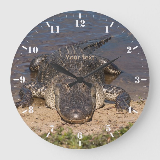 Personalize Face to Face with the Alligator Large Clock (Front)