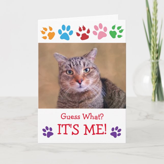 Personalize "From The Cat" Birthday Greeting Card (Front)