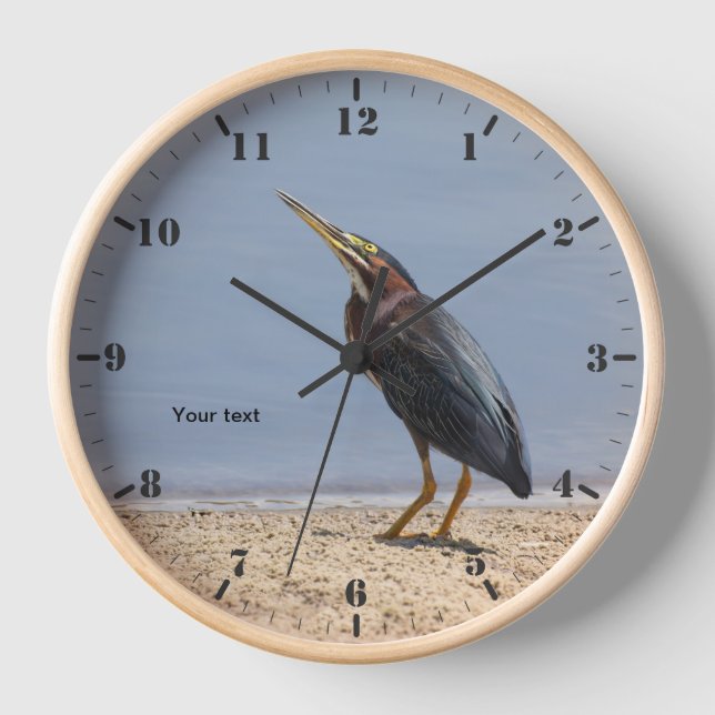 Personalize Green heron at the lake Clock (Front)