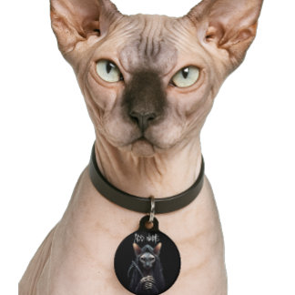 Personalize Grim Reaper Sphynx Cat Funny Pet ID Tag