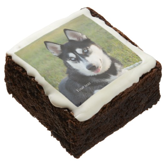 Personalize Happy playful Siberian Husky puppy Brownie (Angled)