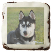 Personalize Happy playful Siberian Husky puppy Brownie (Front)