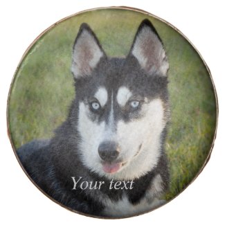 Personalize Happy playful Siberian Husky puppy