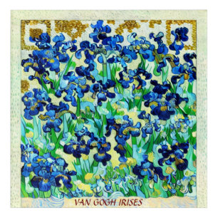 PERSONALIZE, IRISES VAN GOGH PAINTING QR CODE AI ACRYLIC PRINT