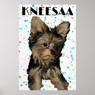 Personalize It! Floral Speckled Pet Photo & Name Poster