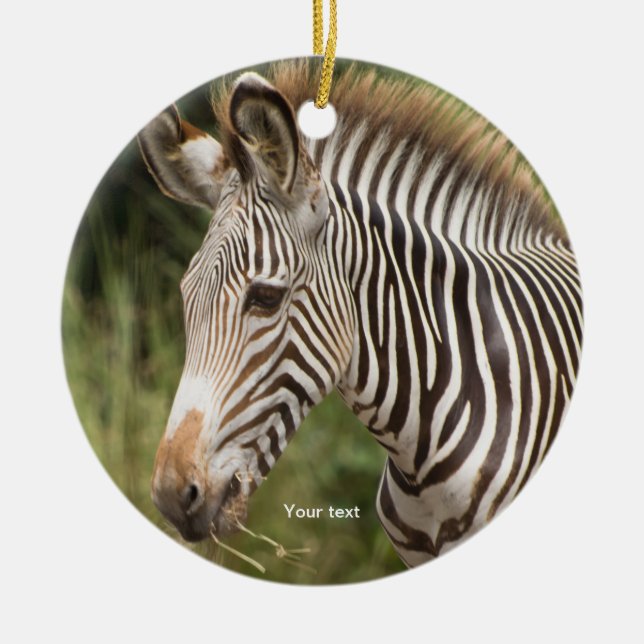 Personalize Juvenile Zebra Ceramic Ornament (Front)