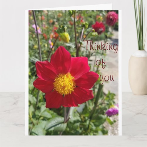 Personalize large Thinking of You Sympathy Card