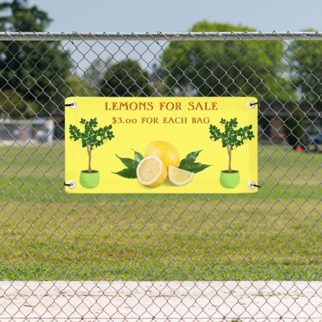 Personalize Lemons For Sale Fruit Stand  Banner (Insitu)