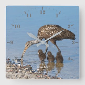 Personalize Limpkin bird with its three babies