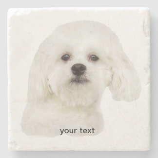 Personalize Maltese puppy Stone Coaster