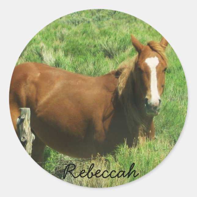 Personalize Name Horse Classic Round Sticker (Front)