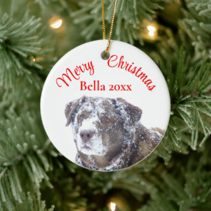 Personalize pet photo template ceramic ornament