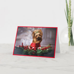 Personalize Pet Photo Upload A Favorite Add Names Holiday Card