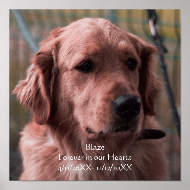 Personalize Photo Pet Memorial Keepsake  Poster (Front)