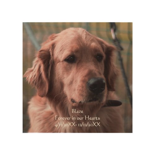 Personalize Photo Pet Memorial Keepsake  Wood Wall Art