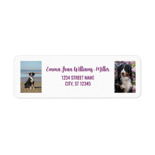 Personalize Photos w/ Dog Modern Return Address Label
