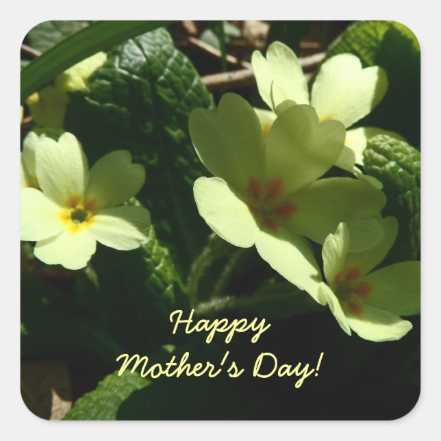 Personalize Primula vulgaris Primrose Mother's Day Square Sticker (Front)
