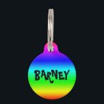 Personalize Rainbow Pet Tag<br><div class="desc">Funky pet tag for your beloved companion.</div>