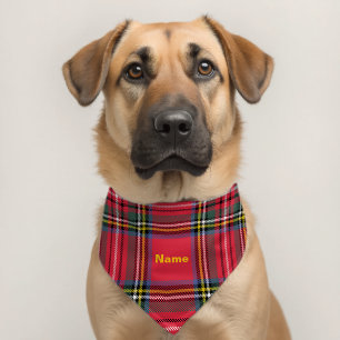 Personalize Red Plaid  Pet Bandana Collar