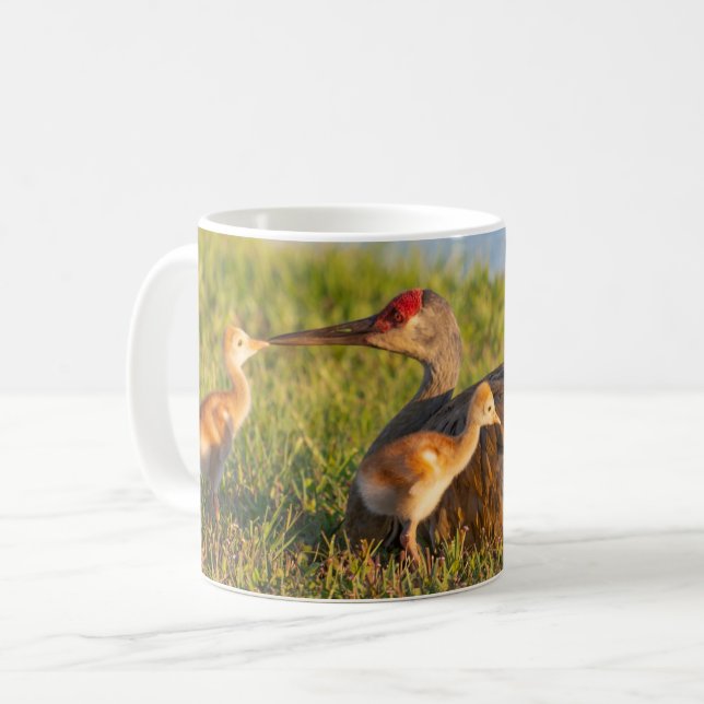 Personalize Sandhill cranes love to its chicks Coffee Mug (Front Left)