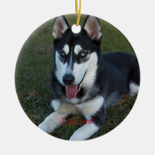Personalize Siberian Husky puppy Ceramic Ornament