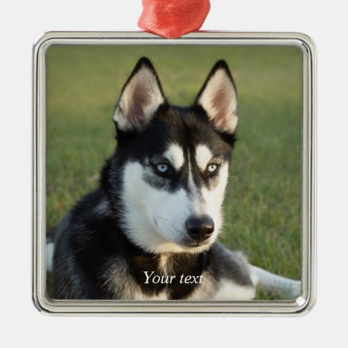 Personalize Siberian Husky puppy portrait Metal Ornament