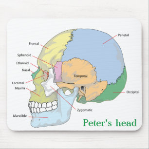 Personalize Skull Anatomy Mouse Pad