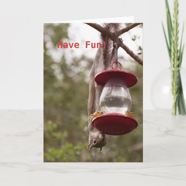 Personalize Squirrel upside down on the feeder Card (Front)