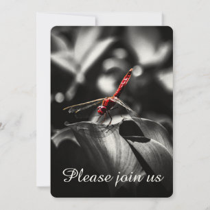 Personalize these Dragonfly Wedding Invitations