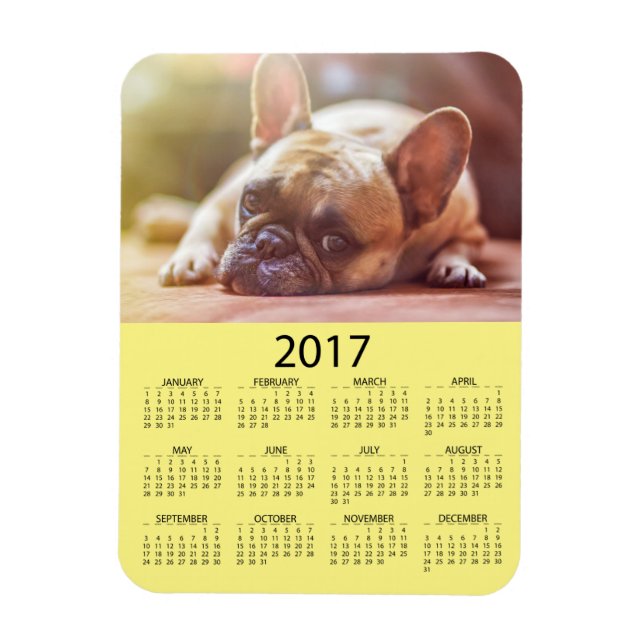 Personalize this 2017 Mini Refrigerator Calendar Magnet (Vertical)