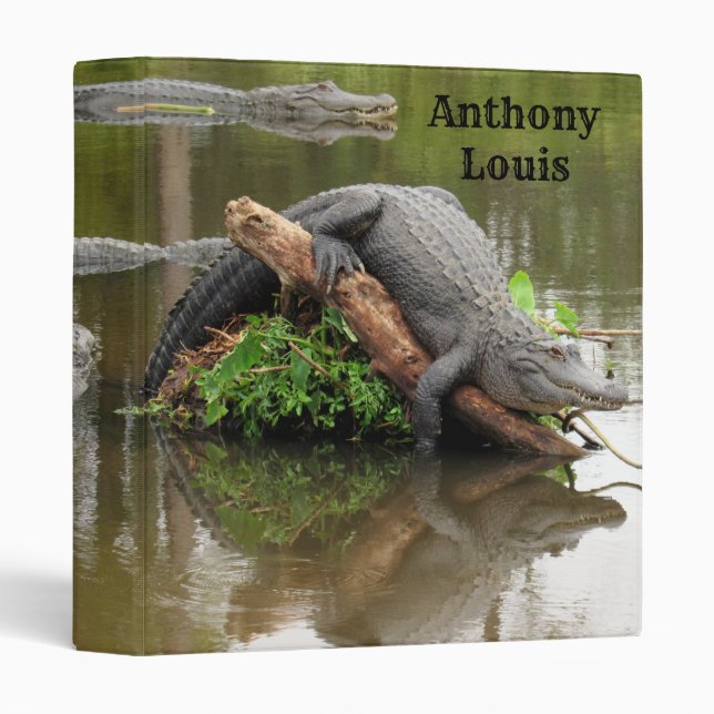 Personalize This Florida Gator 3 Ring Binder (Front/Spine)