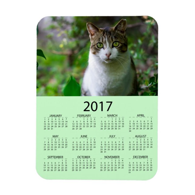 Personalize this Green Photo 2017 Mini  Calendar Magnet (Vertical)