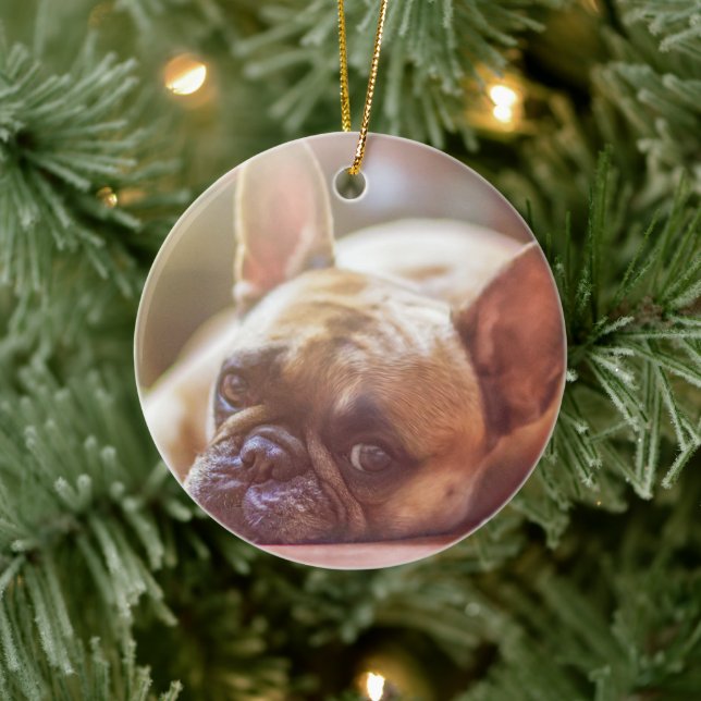 Personalize this Ornament with you Pet's Picture (Tree)