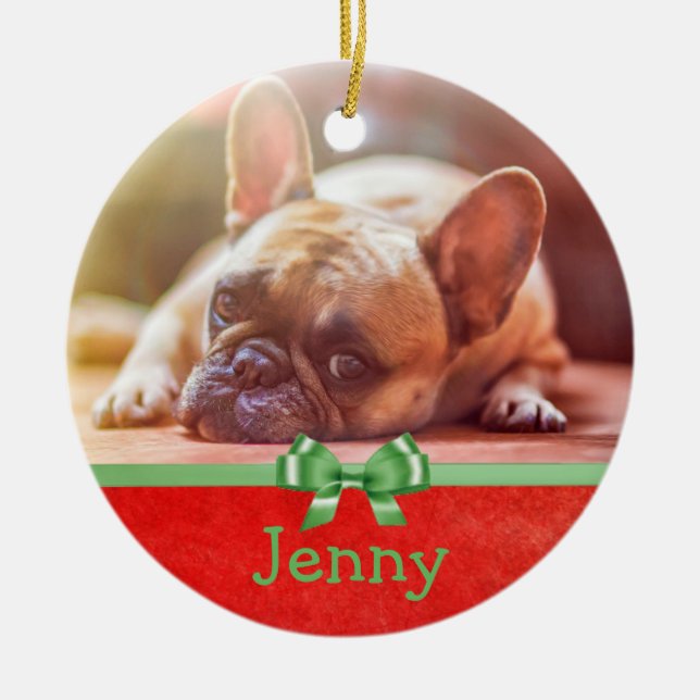 Personalize this Ornament with you Pet's Picture (Front)