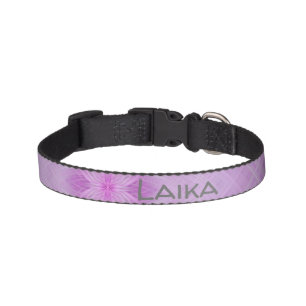 Personalize this template, NAME PET, Pet Collar