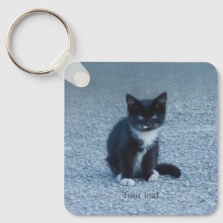 Personalize Tuxedo black and white kitten