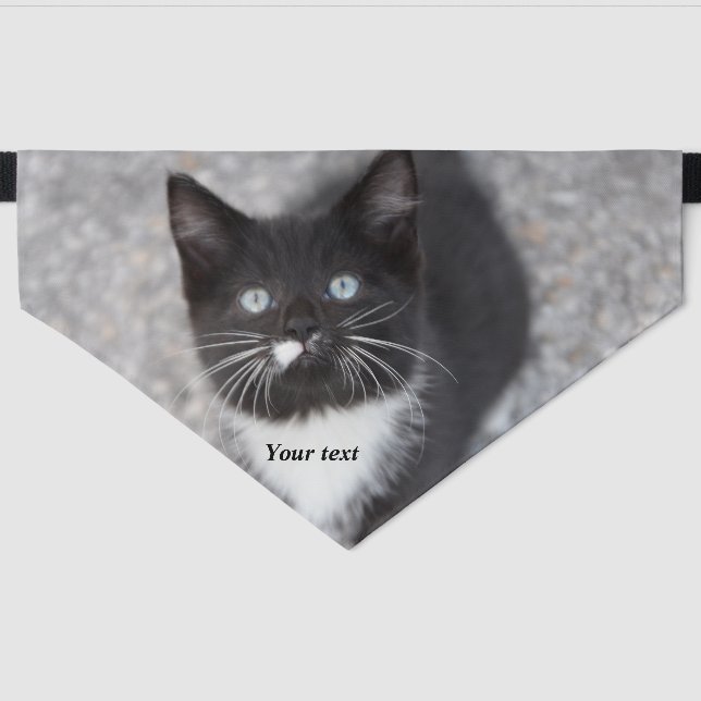 Personalize Tuxedo kitten portrait Pet Bandana Collar (Front)