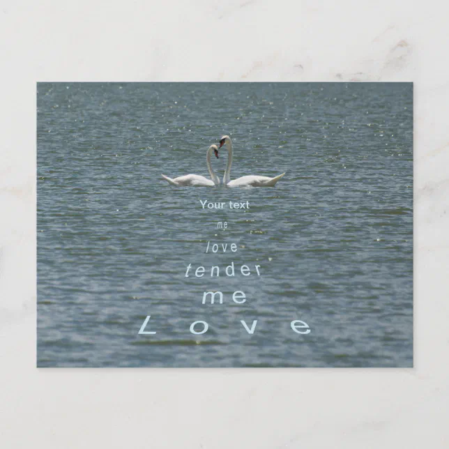 Personalize Two Swans Love Me Tender Love Me Postcard Zazzle