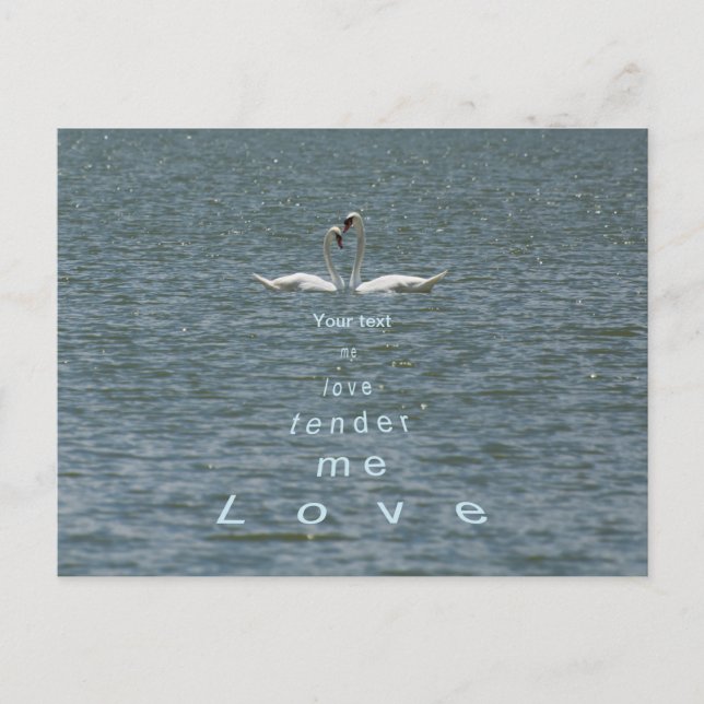 Personalize Two Swans Love me tender love me Postcard (Front)