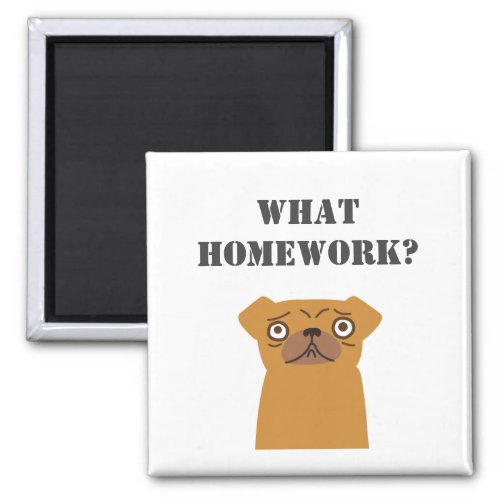 Personalize What Homework? Magnet