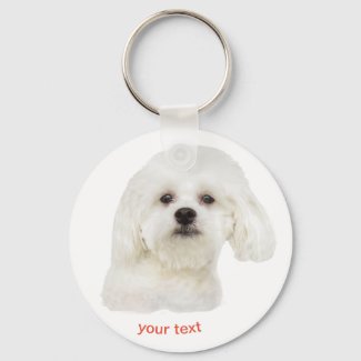 Personalize white Maltese dog