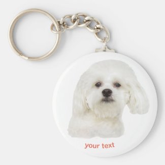 Personalize white Maltese dog
