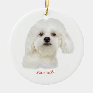 Personalize white  Maltese puppy