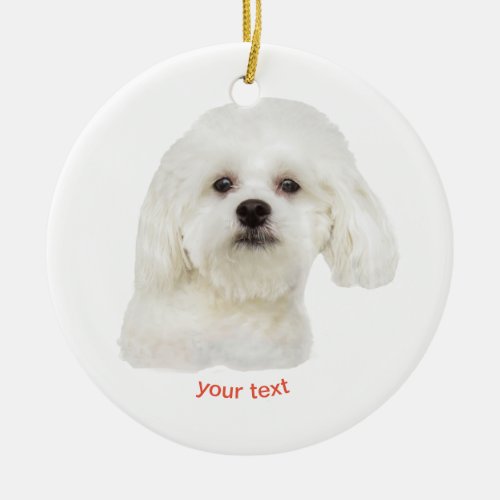 Personalize white  Maltese puppy Ceramic Ornament