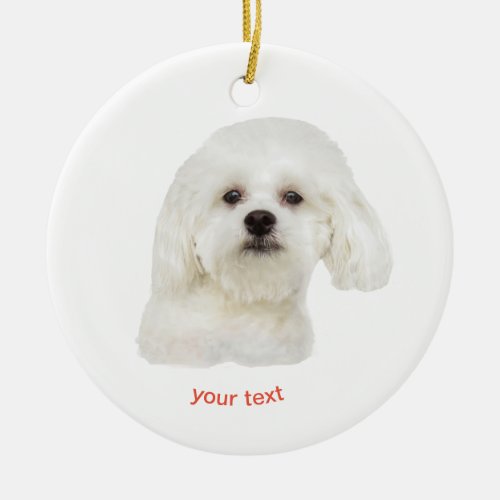 Personalize white  Maltese puppy Ceramic Ornament